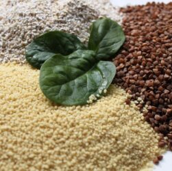 cous-cous-727492_1920-4069714